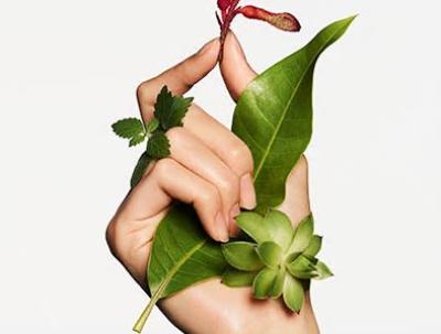 Clarins Men's Rejuvenating Facial